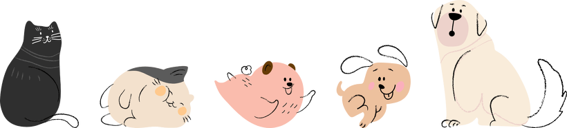 あま市、大治町、清須市、名古屋市、稲沢市のあま動物病院