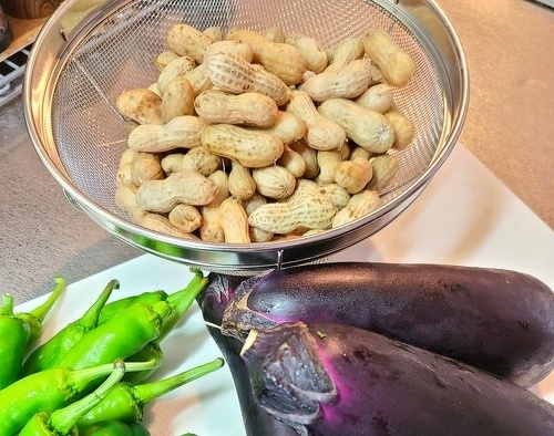 No 530 旬の落花生 ピーナッツ はワンちゃん食べてもいいの スタッフ日記 あま動物病院 あま市 大治町 清須市 津島市 名古屋市 稲沢市 愛西市