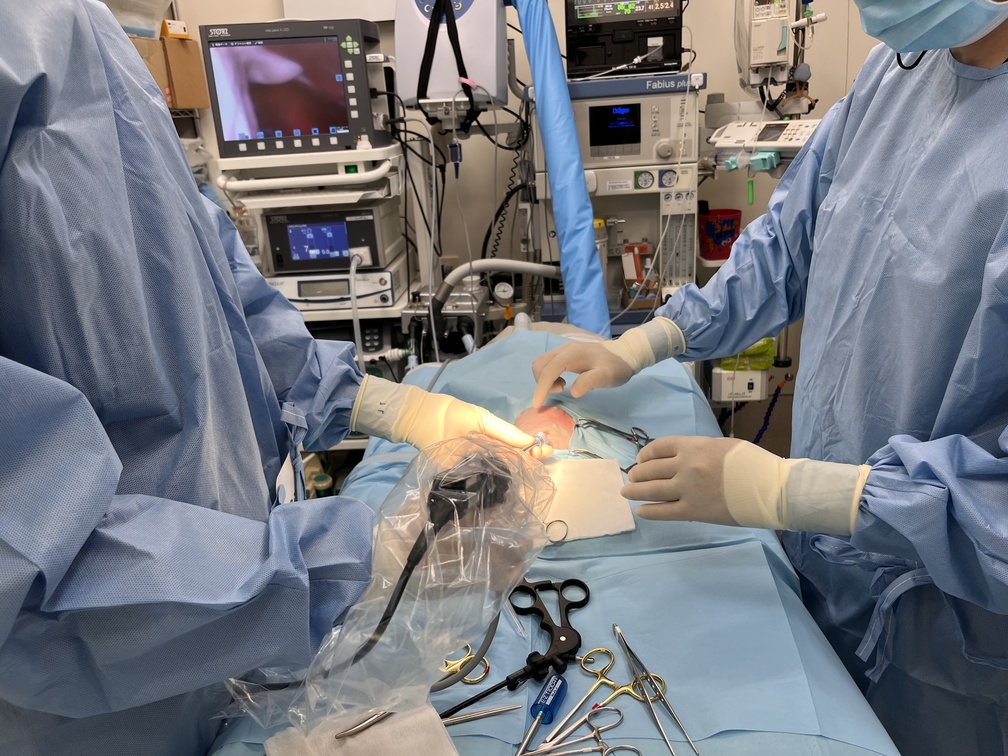 No.564 腹腔鏡手術について | スタッフ日記 | あま動物病院 | あま市