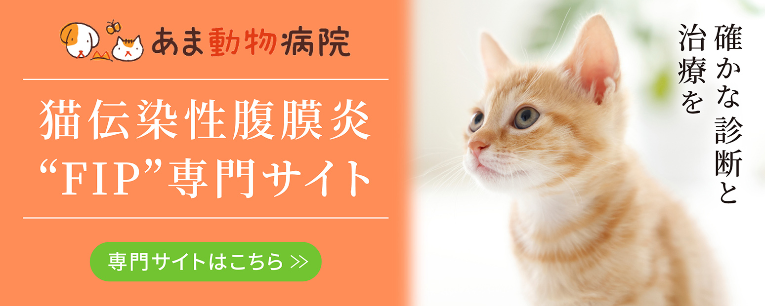 あま動物病院 猫伝染性腹膜炎”FIP”専門サイトへのリンクバナー