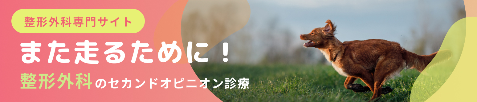 あま動物病院 整形外科専門サイトへのリンクバナー